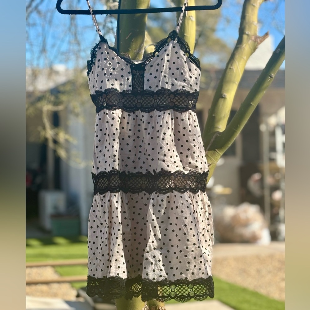 Express summer dress size cad